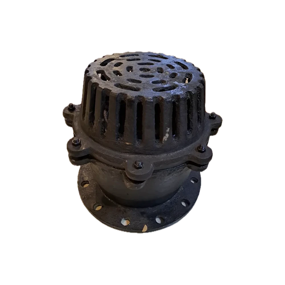 Foot Valve
