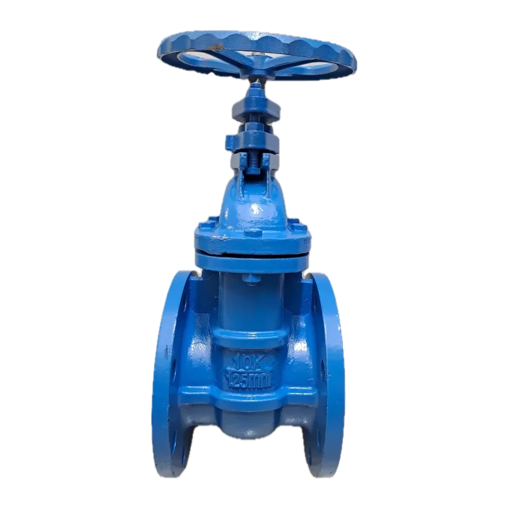 Gate Valve